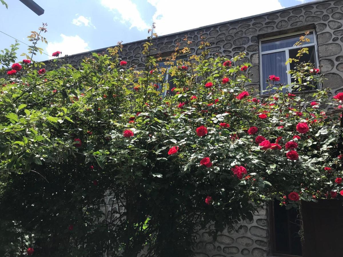 Mthnadzor Hotel Gorisz Kültér fotó