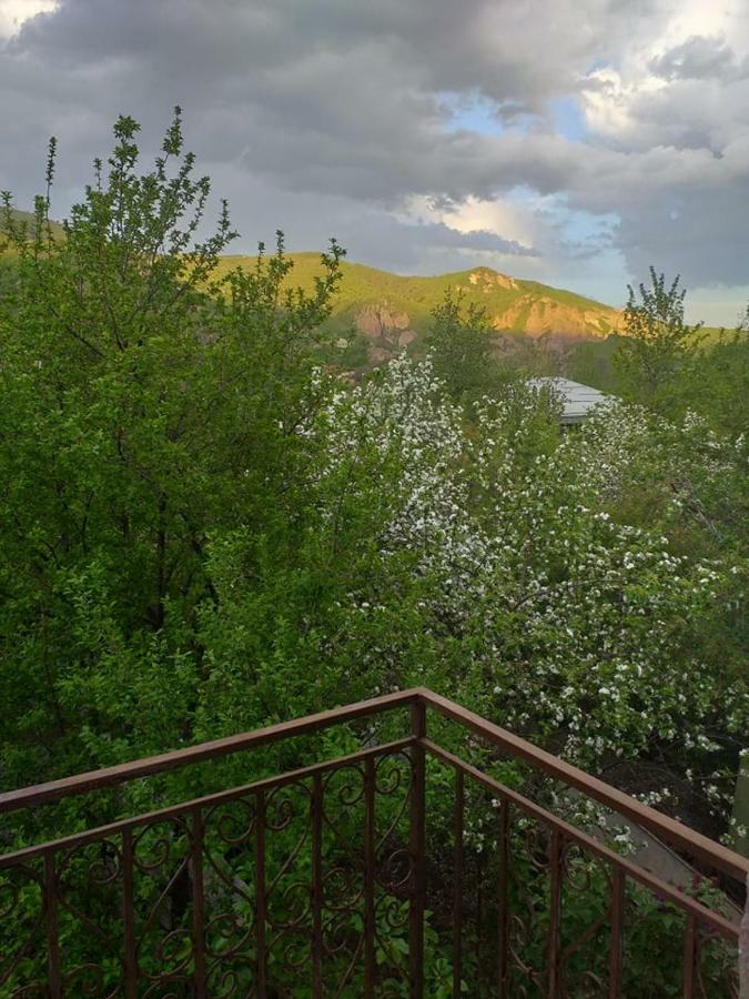 Mthnadzor Hotel Gorisz Kültér fotó